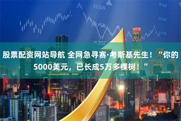 股票配资网站导航 全网急寻赛·考斯基先生！“你的5000美元，已长成5万多棵树！”