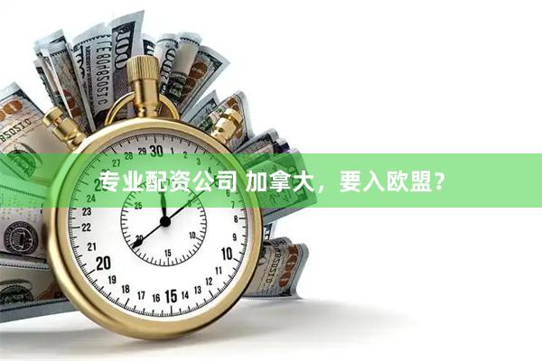 专业配资公司 加拿大，要入欧盟？