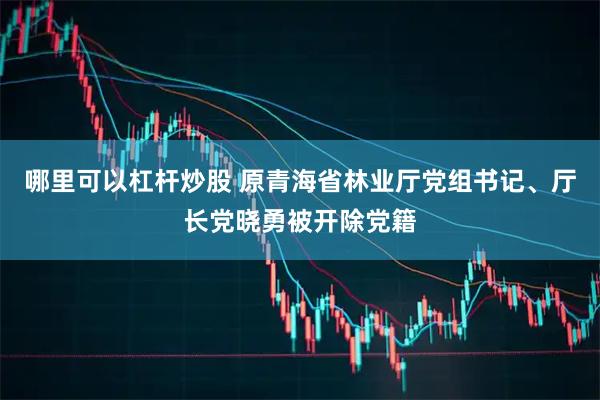 哪里可以杠杆炒股 原青海省林业厅党组书记、厅长党晓勇被开除党籍